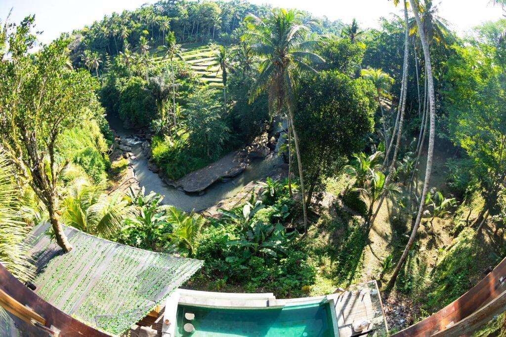 Ubud Riverside Villa 외부 사진