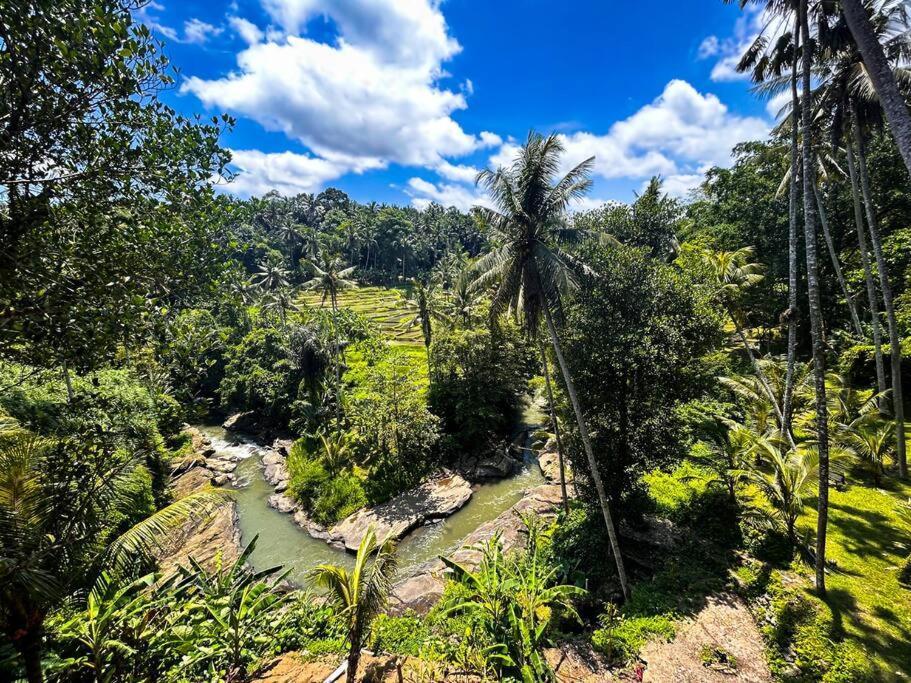 Ubud Riverside Villa 외부 사진